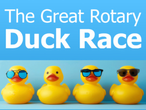 Duck Race Poster